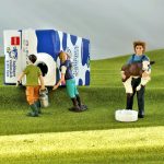 toys on the grass field