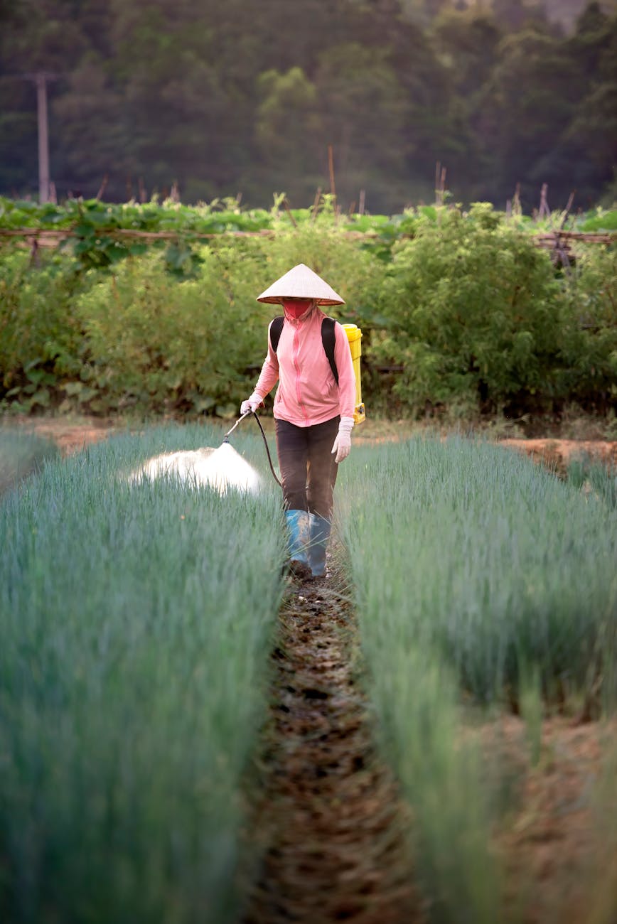 a farmer spraying fertilizer