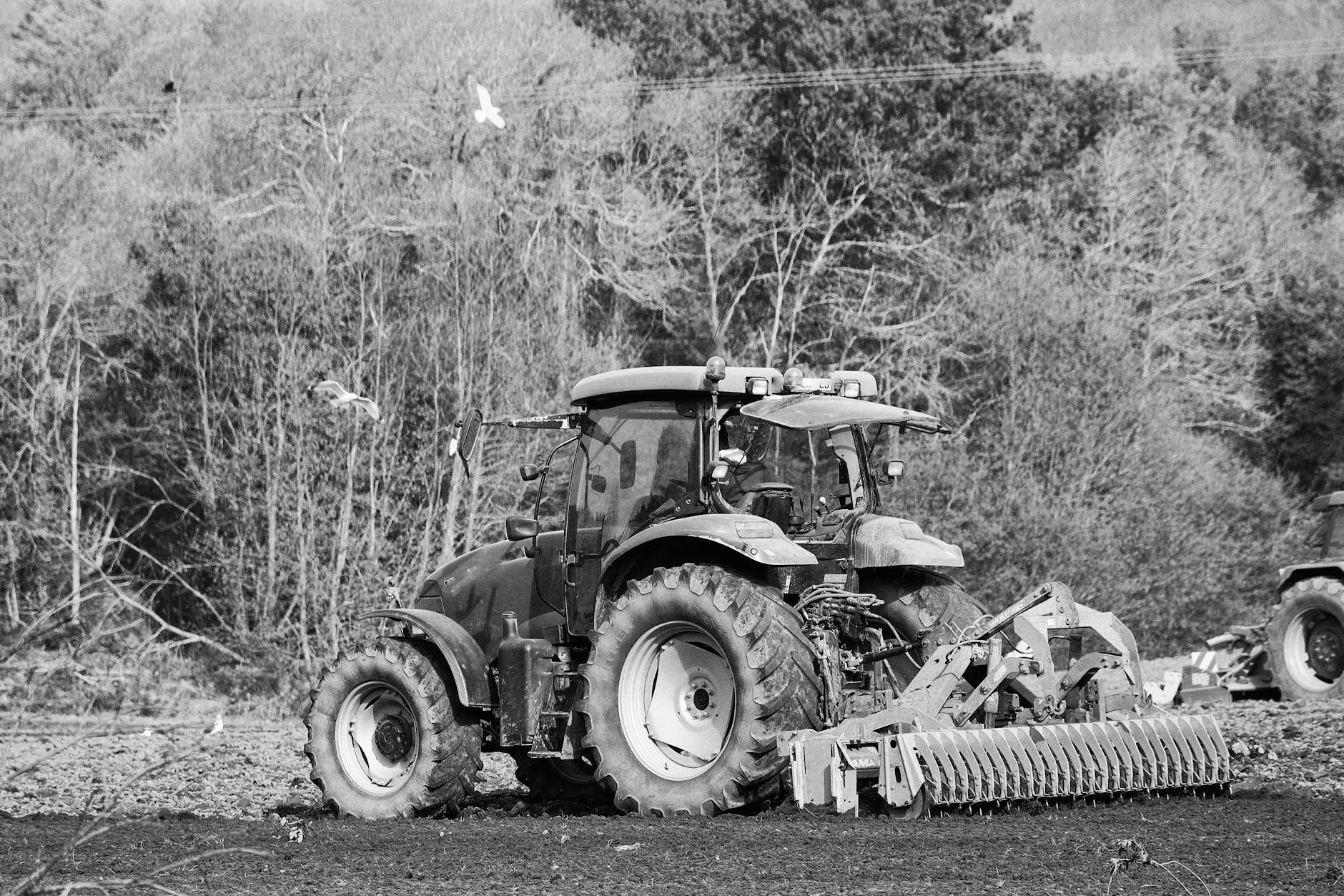 tractor on a farm in black and white
