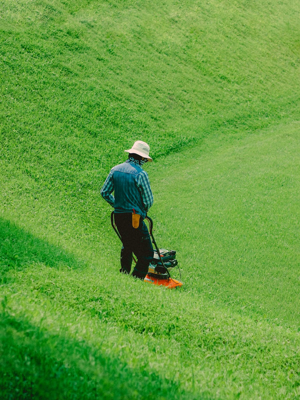 back view of man lawn mowing