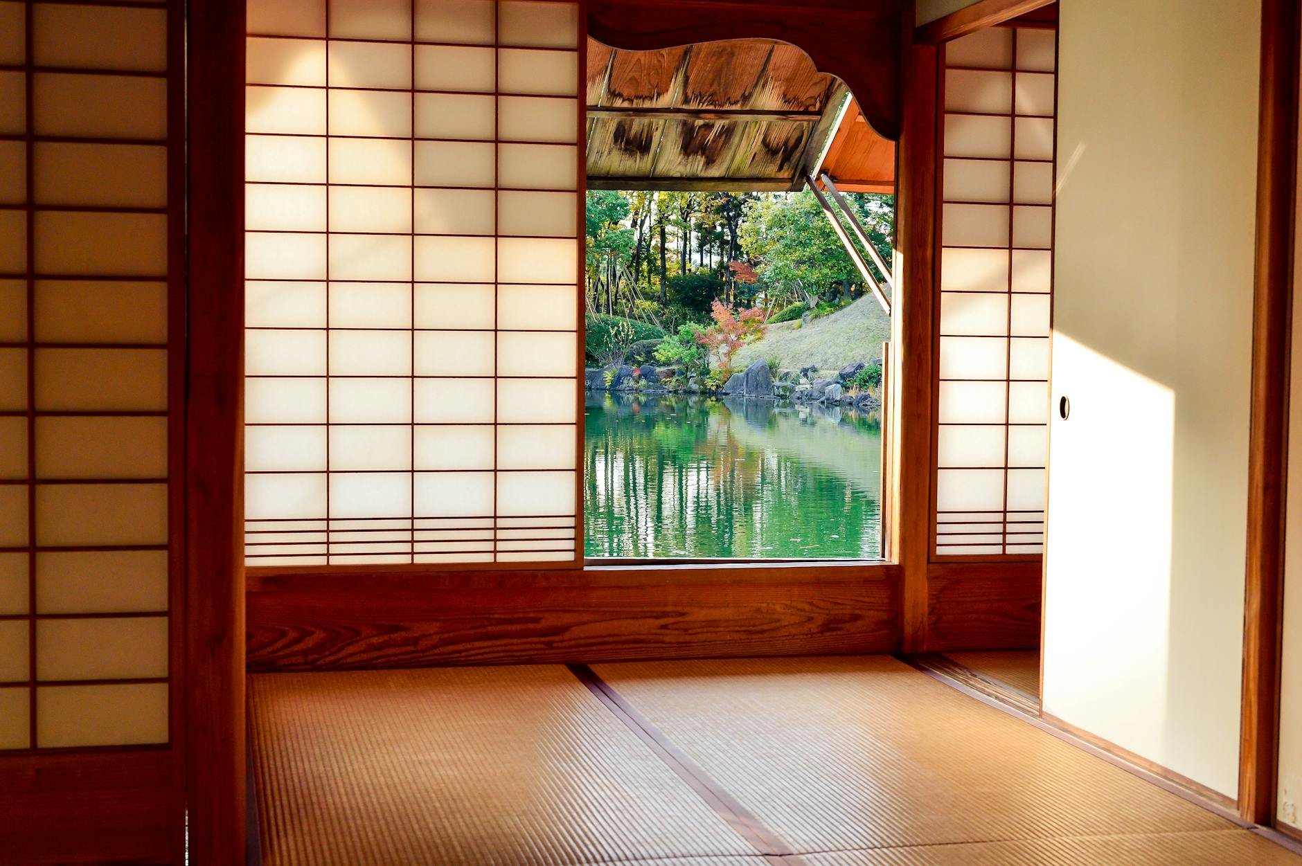 brown wooden door near body of water
