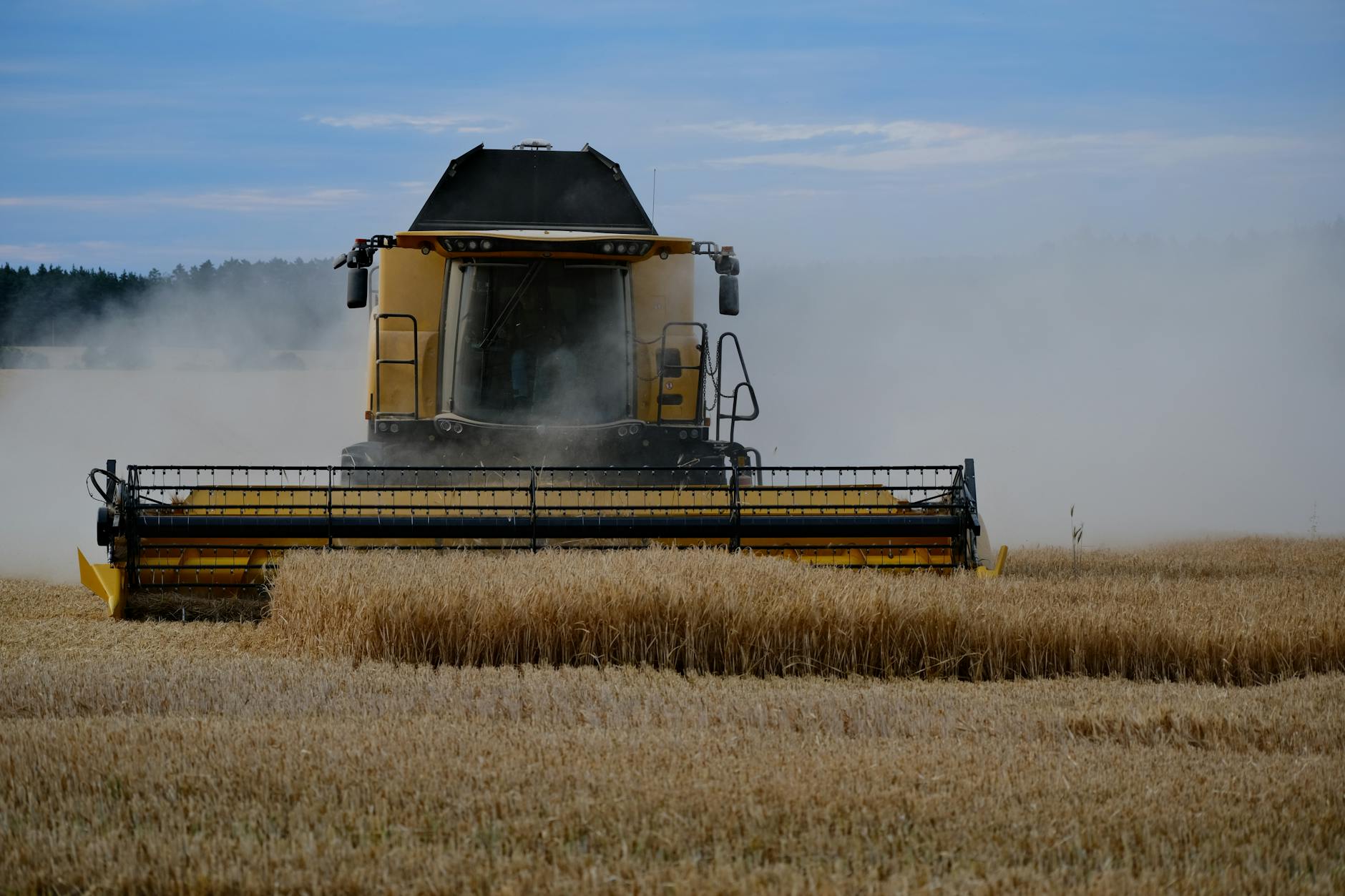 yellow combine harvester in wheat field